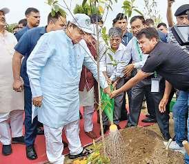 पौधा लगाकर फोटो खिंचवाने तक सीमित न रहें, इनकी देखभाल भी करें : गडकरी