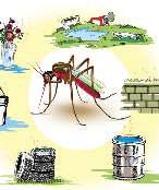 स्वदेशी डेंगू वैक्सीन बनाने के करीब भारत