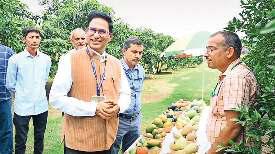 आम की नई किस्मों पर विज्ञानियों व किसानों ने की चर्चा, रखे प्रस्ताव