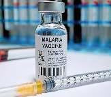 मलेरिया की पहली स्वदेशी वैक्सीन एडफाल्सीवैक्स तैयार