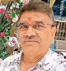निगम हर साल 70 प्रतिशत कुत्तो का कराएगा बंध्याकरण तो निकले समस्या का समाधान