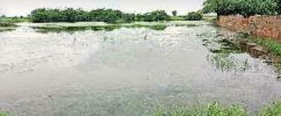 मौत से पहले दो गज जमीन की तलाश