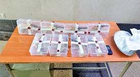 अवैध हथियार बनाने वाली फैक्ट्री का भंडाफोड़, सरगना गिरफ्तार