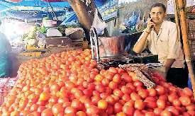 मंडी में टमाटर हुआ और सुर्ख, कीमतें पहुंचीं 100 के आसपास