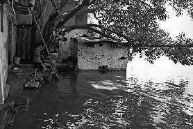 इस वर्ष पहली बार यमुना चेतावनी स्तर के ऊपर