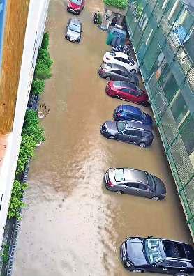 वर्षा ने बिगाड़ा राइज फारेस्ट सोसायटी का हाल, जलभराव से जूझते दिखे लोग