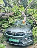 वर्षा से डूबी दिल्ली, गिरे पेड़, घरों और दुकानों में भरा पानी