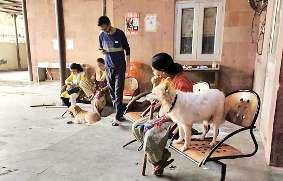 पशु चिकित्सालय में संसाधनों की कमी