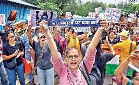 पशु प्रेमियों ने निकाली 13 किमी लंबी पदयात्रा, किया प्रदर्शन