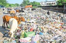 विशेष सफाई अभियान में भी नहीं हट पा रहा कूड़ा