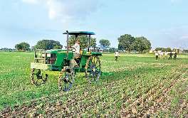 कम लागत में अधिक उत्पादन, फायदे की होगी धान की खेती