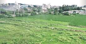 करनाल व पानीपत में बने थे मदनमोहन के फर्जी दस्तावेज