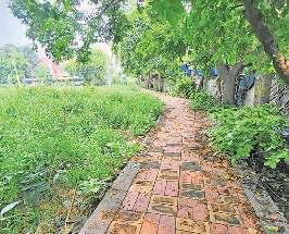 पार्क बनें तो हरियाली के बीच खेलें बच्चे