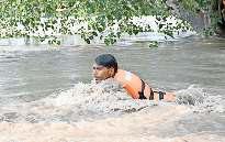 काम आई तैराकी, पेड़ पर चढ़े युवक को पांच घंटे बाद बचाया