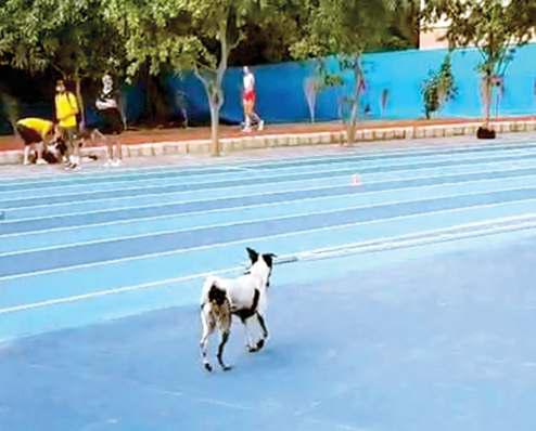 भारत की आंखें खोल गई विश्व पैरा एथलेटिक्स