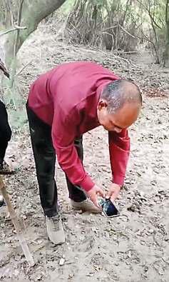 यमुना बायो डायवर्सिटी पार्क के पास फिर से देखा गया तेंदुआ