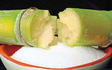 विदेशी मुद्रा का आधार बनने चीनी उद्योग