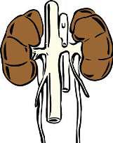 चीन के बाद भारत में किडनी के सबसे अधिक मामले