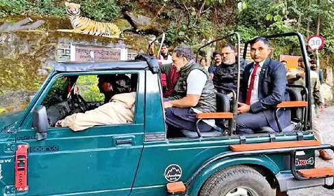 राहुल गए जंगल सफारी, भाजपा ने की आलोचना