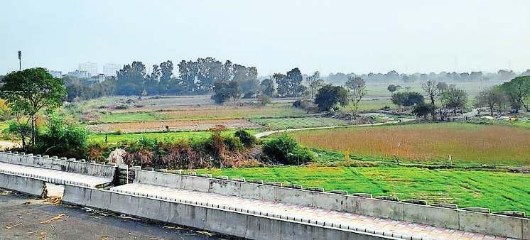 सांस्कृतिक गतिविधियों का हब बनेगा मयूर नेचर पार्क