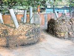 कचरा प्रबंधन की पाठशाला में लिख रहे स्वच्छता की कहानी