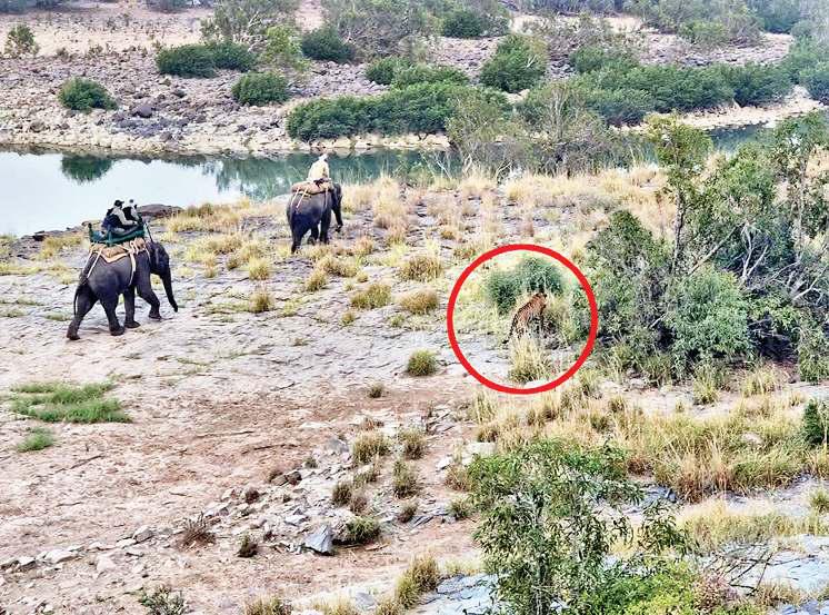 हाथियों से पेराबंदी करा मंत्रियों ने बाधे वादे के दौदार