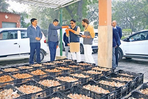 राजधानी में सड़कों के किनारे और पार्कों में खिलेंगे ट्यूलिप के फूल
