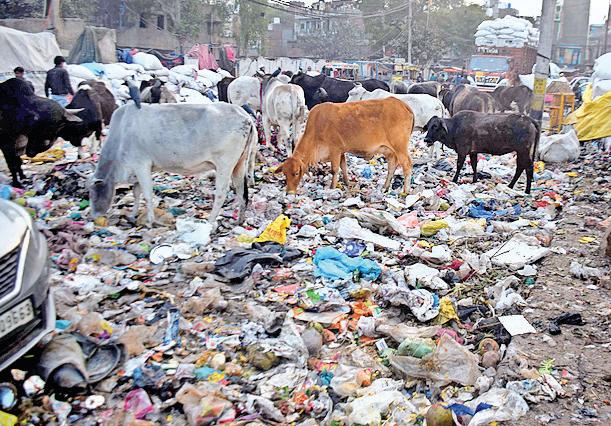 सुविधाएं देने के प्रयास नाकाफी, अब भी बहुत कुछ करना बाकी
