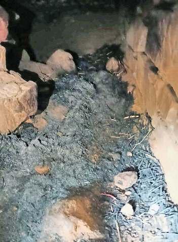 चिड़ियाघर में सियार को जिंदा जलाकर मारने का आरोप