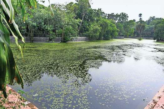 सरकारी कागजों में तर जमीनों पर सूखी हैं झीलें