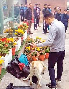 दिल्ली, हरियाणा और बिहार में स्कूलों व कोर्ट परिसरों को बम से उड़ाने की धमकी