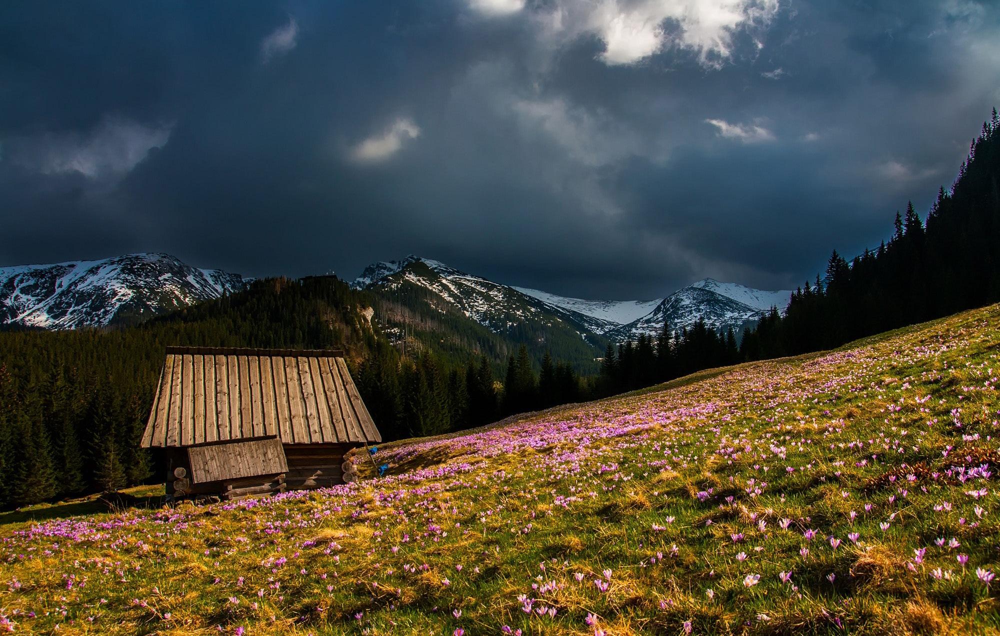 SHOOT STUNNING SPRING LANDSCAPES