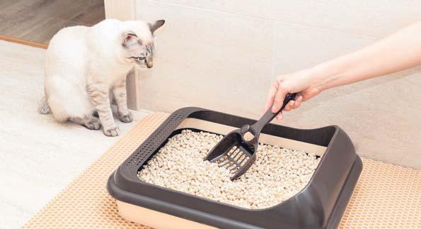 Cleaning hacks for pet hair and paw prints