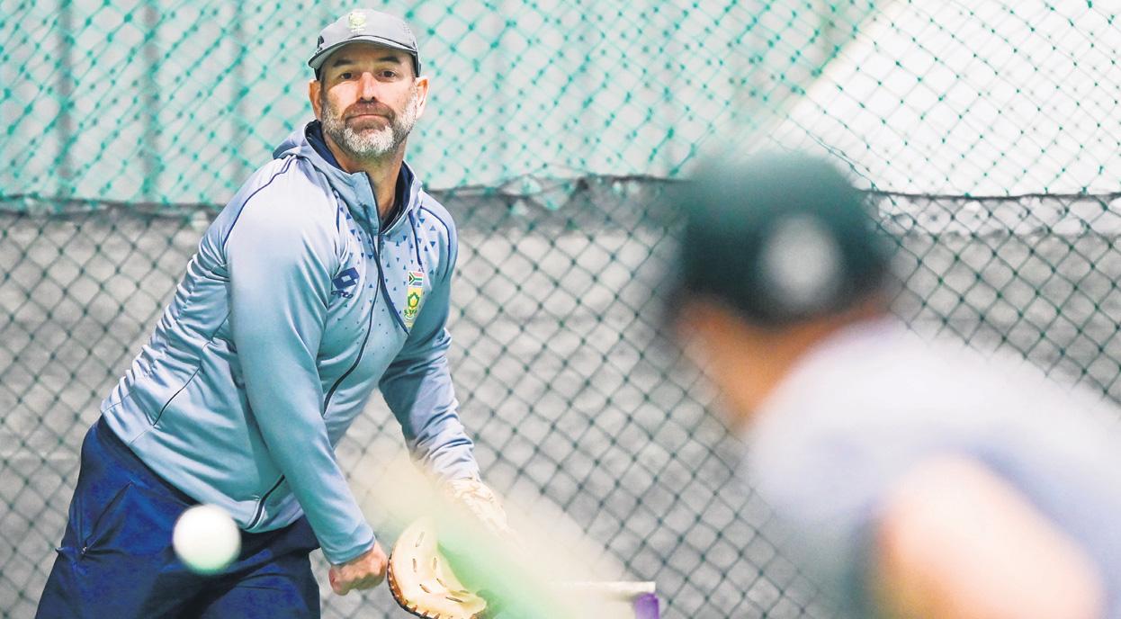 POWER-PACKED PROTEAS