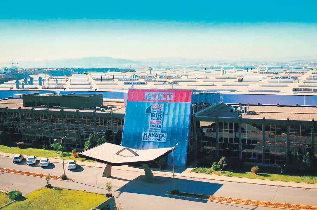 Offshore investment: 99% lost