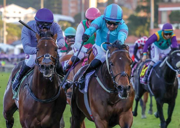 Betting fest for Cape Town Met