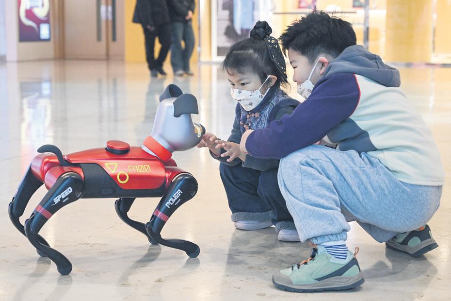 Have a fur baby for comfort