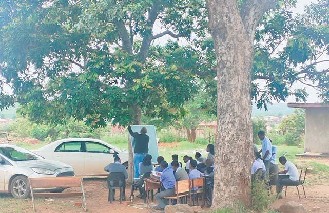 Classes under trees in Limpopo
