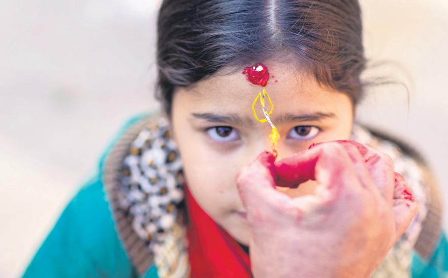 School cricketer dies in freak onfield collision