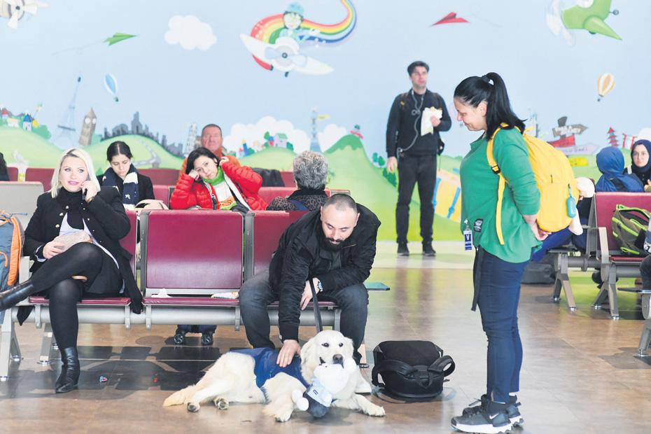 Fear of flying? Dino the dog comes to your rescue