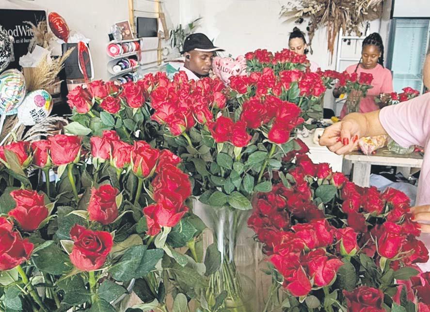 Joburg's week-long blackouts