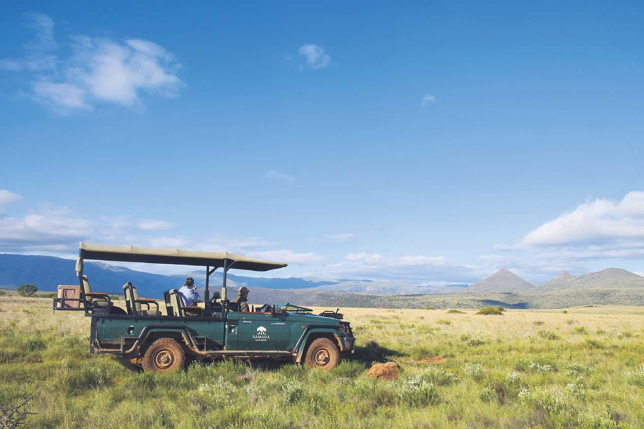 Turn back the clock with good-news conservation