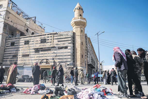 Palmyra springs back to life