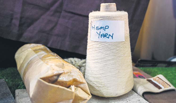 High hopes for hemp production