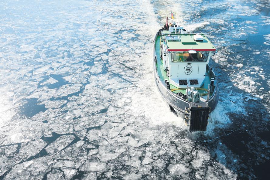 There's No White Genocide