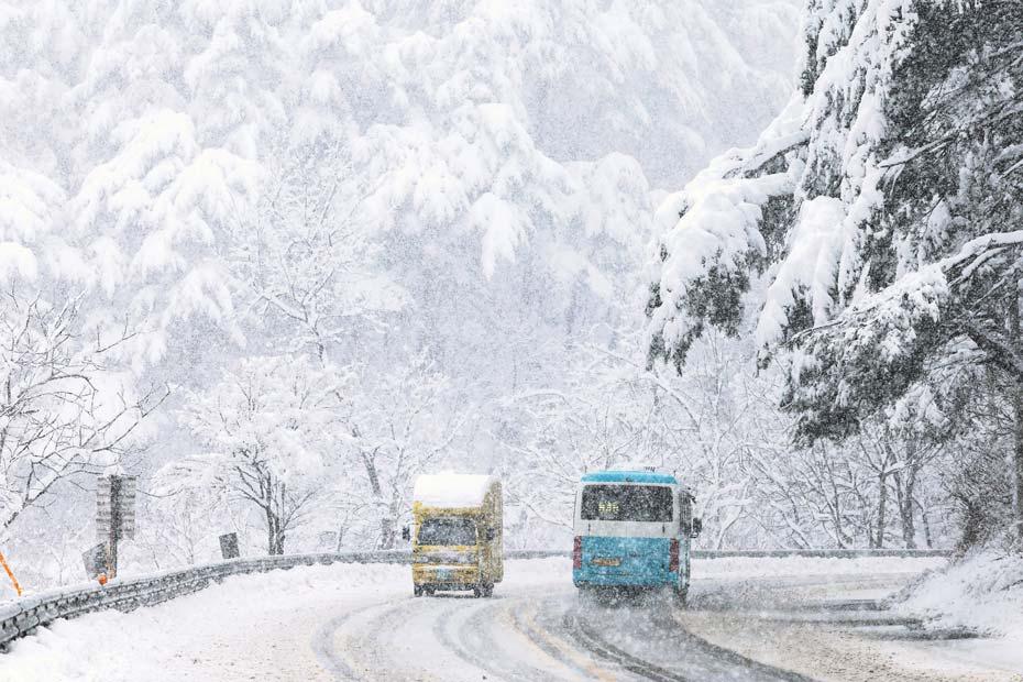 Councillors hit with costs