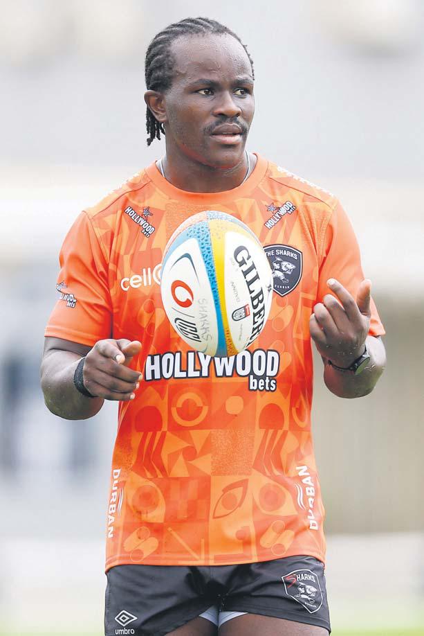 Sharks happy to get another bite