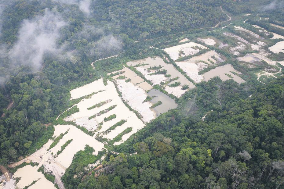 Mighty Amazon falling