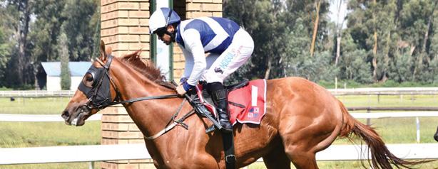 Go with Wisdom in Oaks Trial