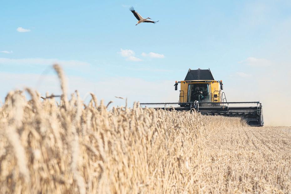 Investors think like farmers